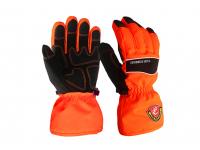 Insulated Ski Thermal Safety Work Gloves/IWG-010