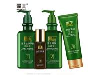 Anti-Hair Loss & Hair Activation & Hair Follicle Nourishing Hair Care Set