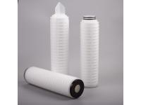 Sterilization PES Filter Cartridge