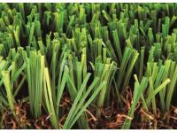 Residential Artificial Grass, MT-Wisdom / MT-Superior