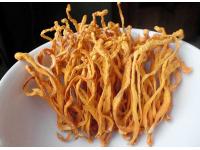 Cordyceps Militaries Powder capsules