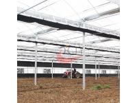 ​Agriculture Plastic Large Multi Span Greenhouse for Sale 