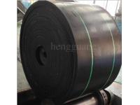 Conveyor belt for chemical plant