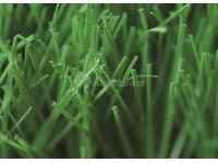 Residential Artificial Grass, MT-Venus