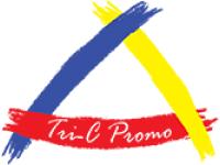 Promotional Non-Woven Cool Tote Bag, Insulated Cooler Bag, Mugs Supplier 