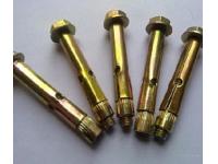 Internal expansion bolt