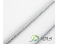 Polyester Canvas Bleached Fabric