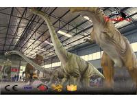 factory direct supply big size animatronic dinosaur simulation model