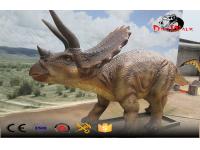 Animatronic dinosaur simulation real lifesize model Triceratops
