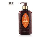 Fresh Ginger Hair Toughening & Energy Activating Shampoo