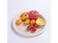 Biodegradable disposable compostable sugarcane bagasse round plates in 10 inch 