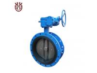 Double flanged Concentric butterfly valve