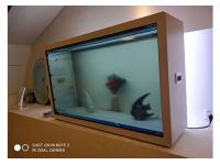 Transparent Display Factory Price Transparent Display  LCD Transparent Screen  Transparent Display Supplier