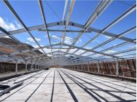 Prefabricated Steel Structure Broiler House for Poultry Shed  Cage Layer Chicken House china  Broiler Chicken House