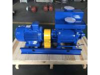 2BE Liquid ring vacuum pump