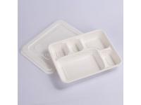 Biodegradable Disposable Deep Tray with Lid Sugarcane School Lunch Tray