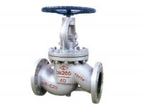 Cast Steel and Stainless Steel Globe Valve   DIN Globe Valve