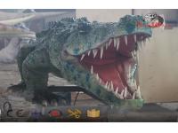 real life size crocodile simulation with movement