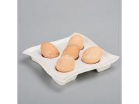 Square eggs ceramic plates