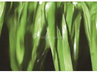 Technical Parameters of&ensp;Synthetic Grass for Tennis