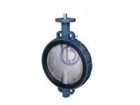 butterfly Valve with Painting CBF02-TA07