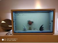 Transparent Display LCD Transparent Screen  LCD Transparent Screen For Sale  Restaurant Transparent Display Supplier
