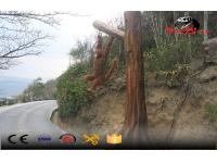 project Sanya out door display attractive monkey model