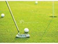  Artificial Grass for Golf Putting Green