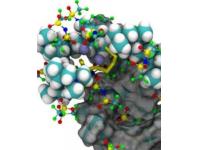  Coupling Experiments to Build a Better Battery