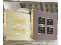 Outstanding Quality smart wall tact push switch