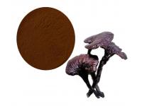 Ganoderma Lucidum Extract