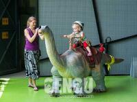 Apatosaurus Walking Ride(AR-99)