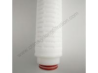 Do you know how to maintain Pleated Filter Cartridge?