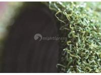 Artificial Grass for Golf Putting Green