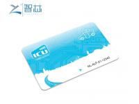 China Good Performance Dual Frequency RFID Card