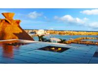 Renewable Energy Development