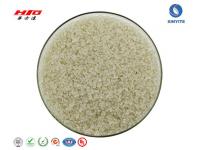 Development of Modified Nylon Products