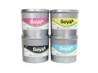 China's environmental ink development history