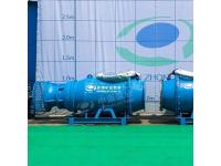 Sleigh Axial-flow Pump