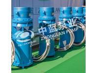 Mid-suction axial-flow pump