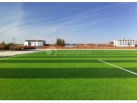Factors Affecting the Wear Resistance of Sports Artificial Turf