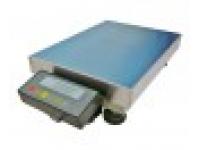 100kg 1g Precision Weighing Platform Scale