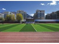 Artificial Grass for Football Field Construction Process