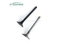 engine valve for HOWO 