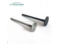 Auto engine intake valve for HOWO 