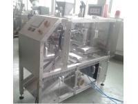 CF1-300 Singel Station Packing Machine