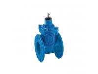 New Style Bare Shaft Gate Valve
