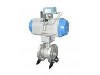 CN81 Series SUPCON Eccentric Rotary Control Valve