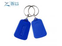 EM4200 Chip Low Frequency 125KHz RFID Key Tag 