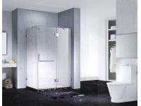  Slimline Frameless Rectangle Shower Enclosure With Pivot Door, AB 1242-1